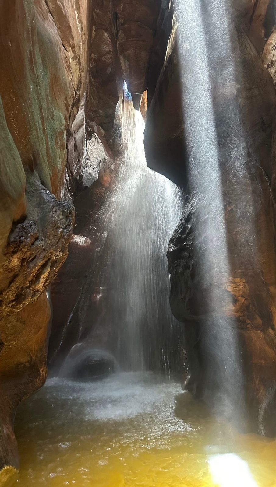 Passeio Parque das Andorinhas (Curto)