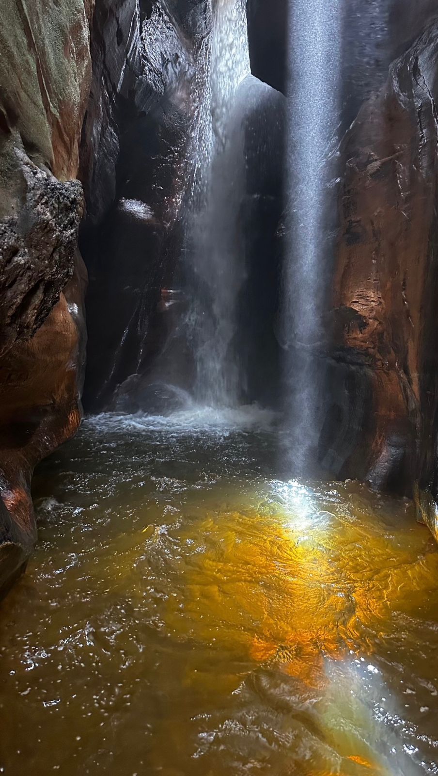 Passeio Parque das Andorinhas (Curto)