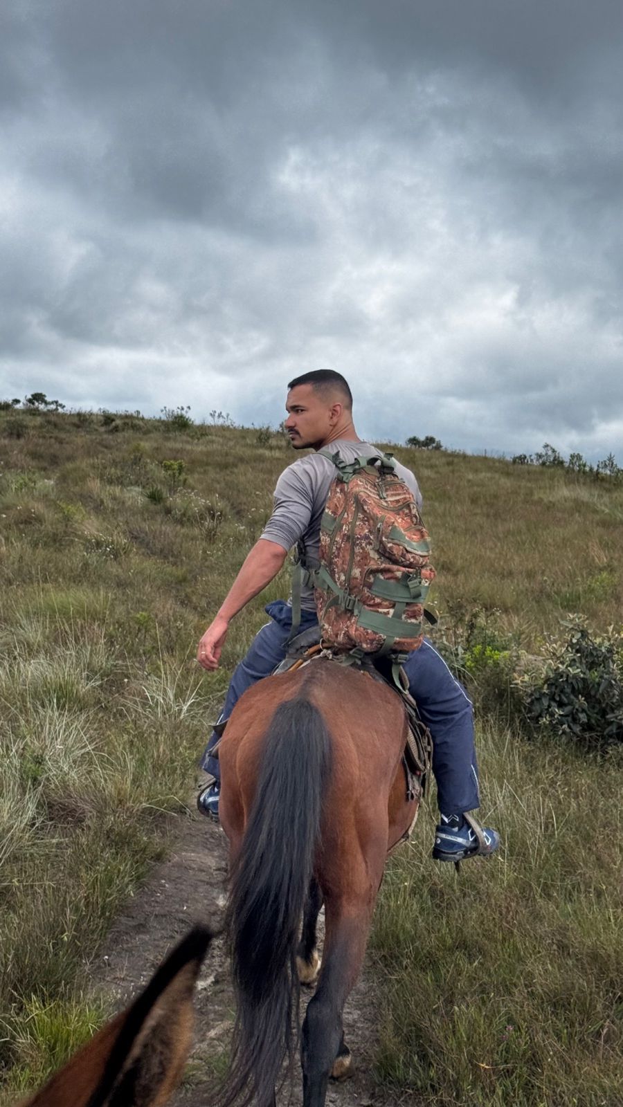 Passeio de Cavalo