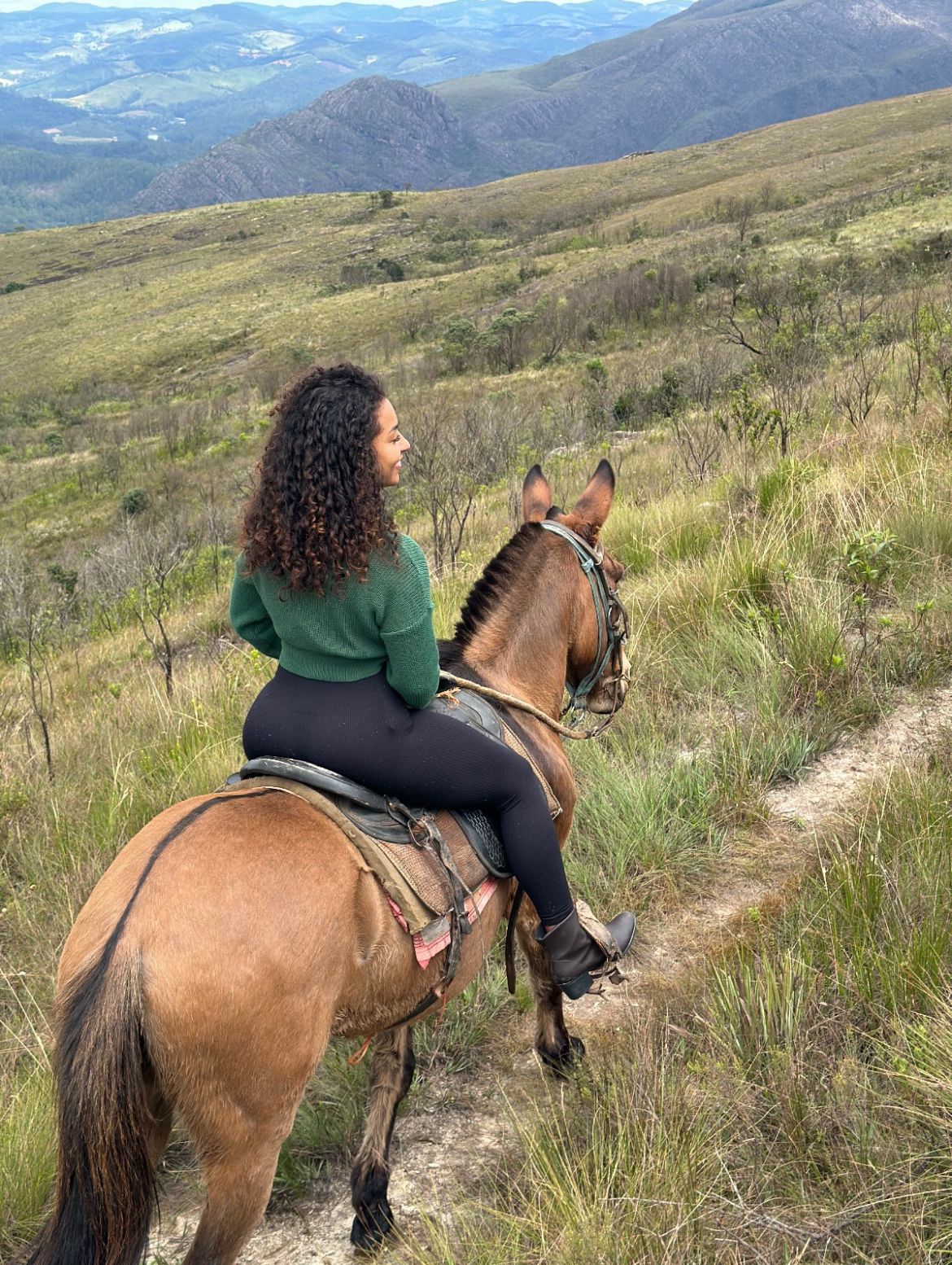 Passeio de Cavalo